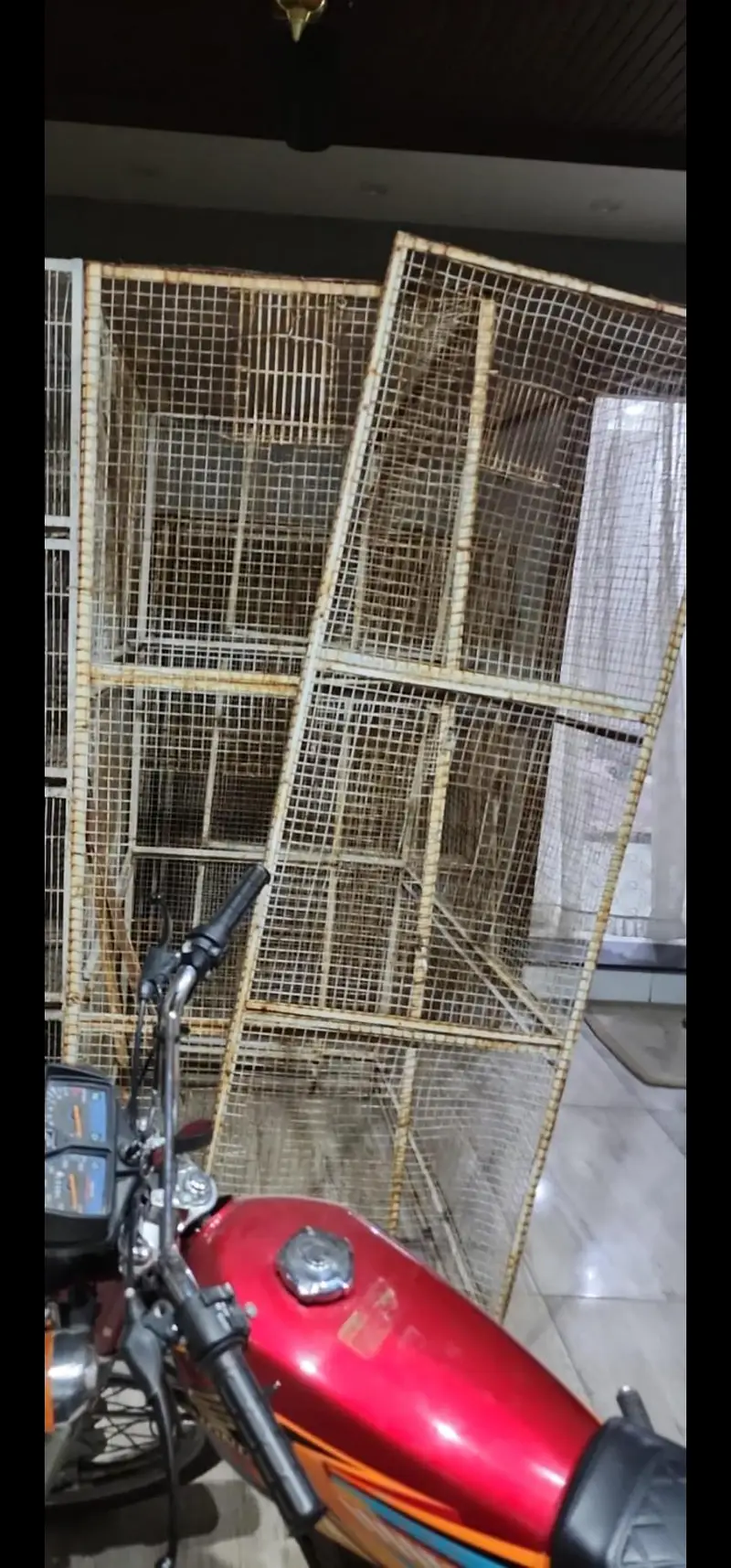 Cage Birds Cage — photo 2