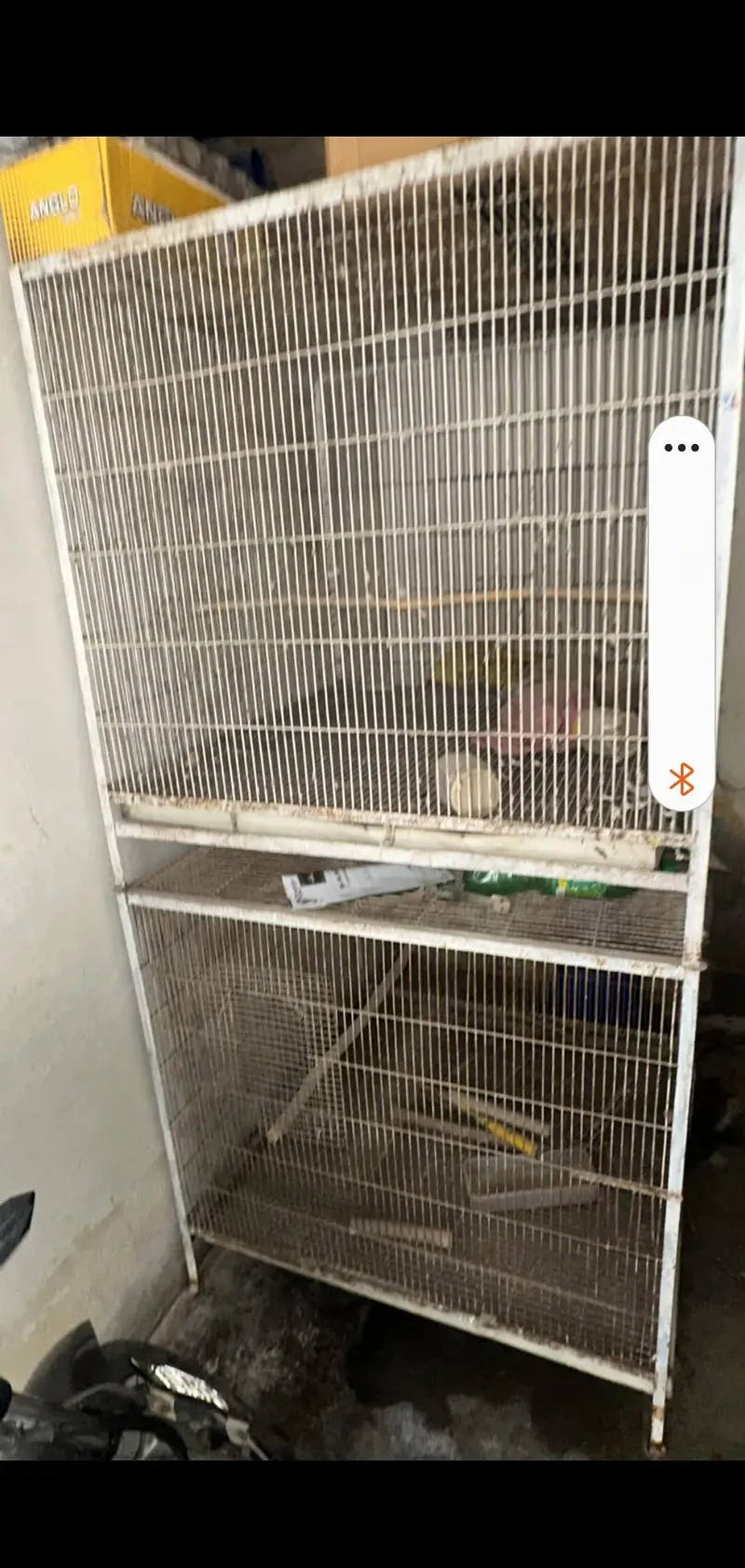 Cage Birds Cage — photo 3