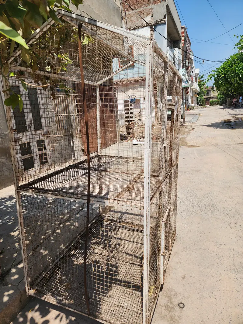Cage Birds Cage — photo 7