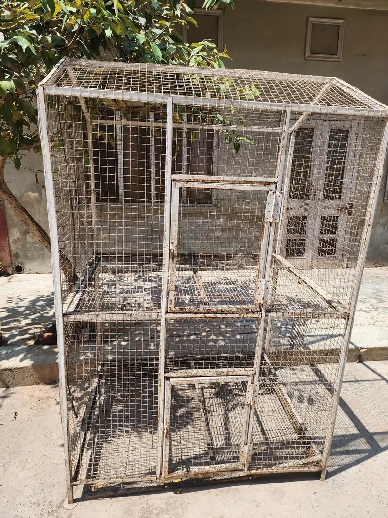 Cage Birds Cage — photo 8