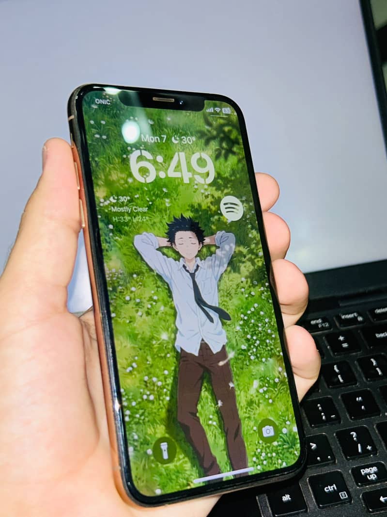 Apple iPhone XS 0