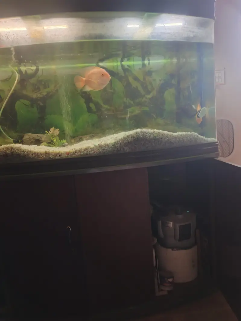 Aquarium for sale 4 feet imported — photo 4