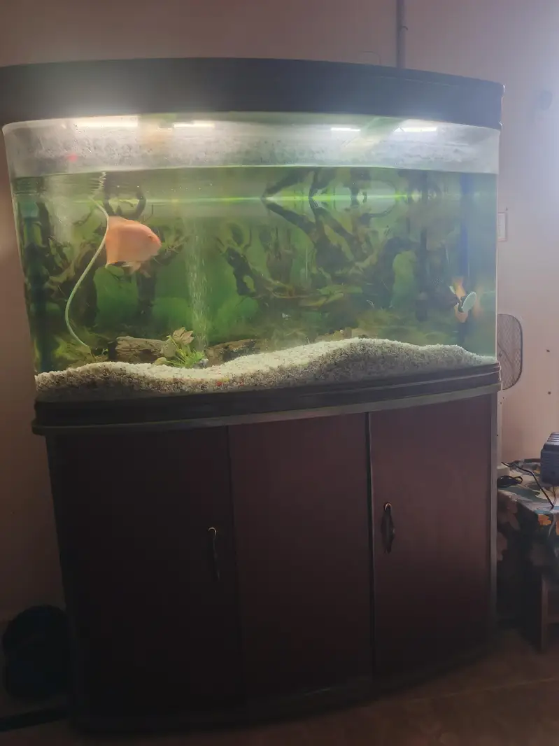 Aquarium for sale 4 feet imported — photo 5