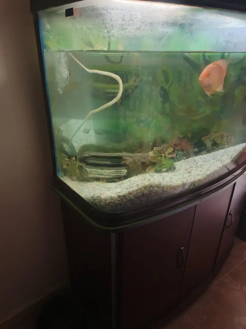 Aquarium for sale 4 feet imported — photo 6