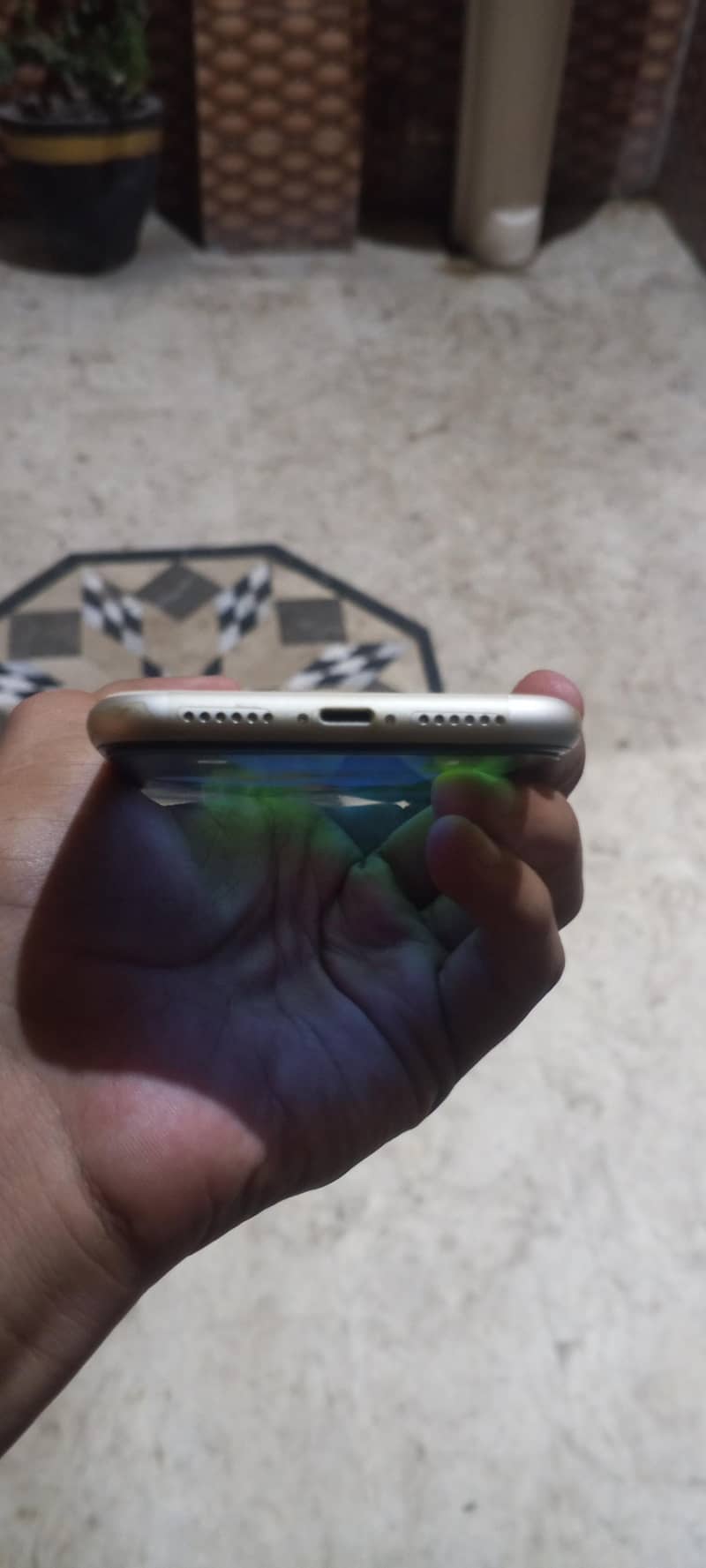 Apple iPhone 11 2