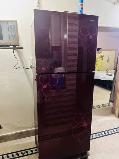 orient fridge full size glass body mehroon clr