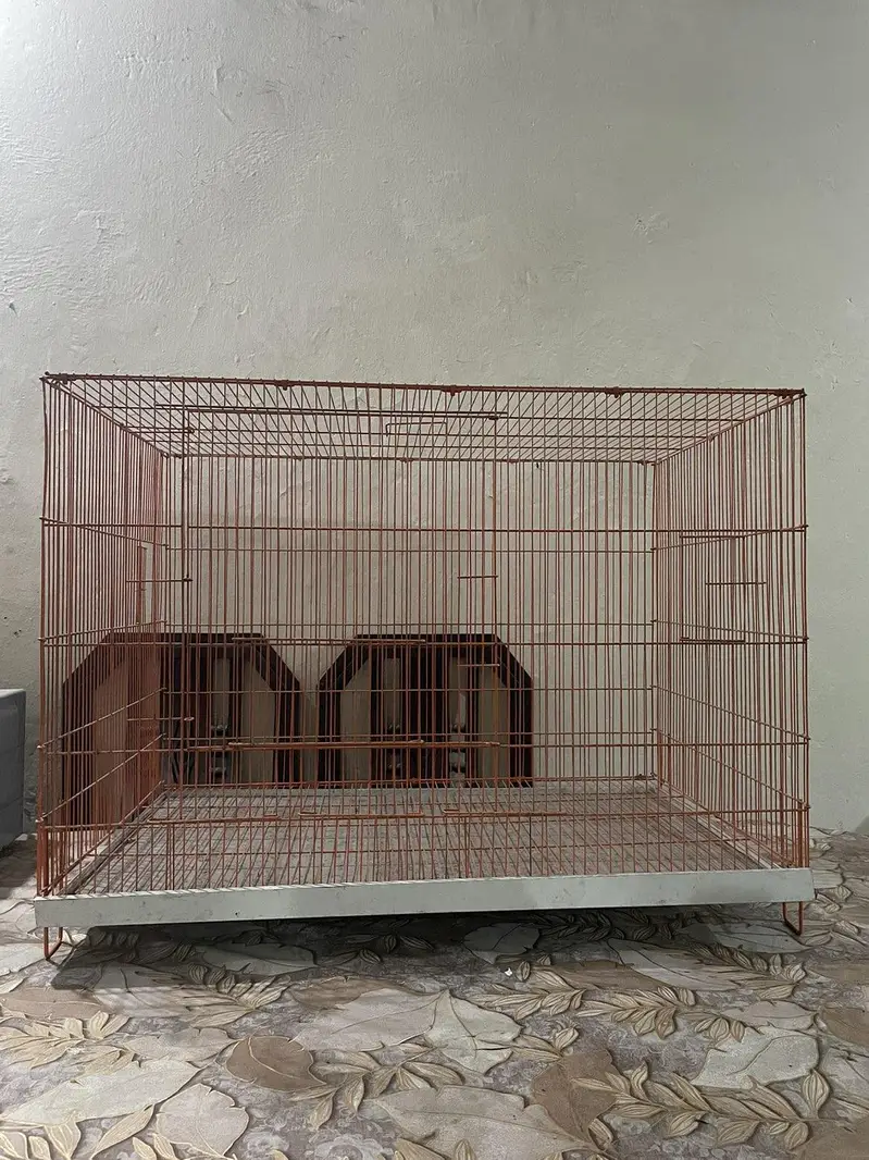 birds cage for sale large size good condition  — photo 3