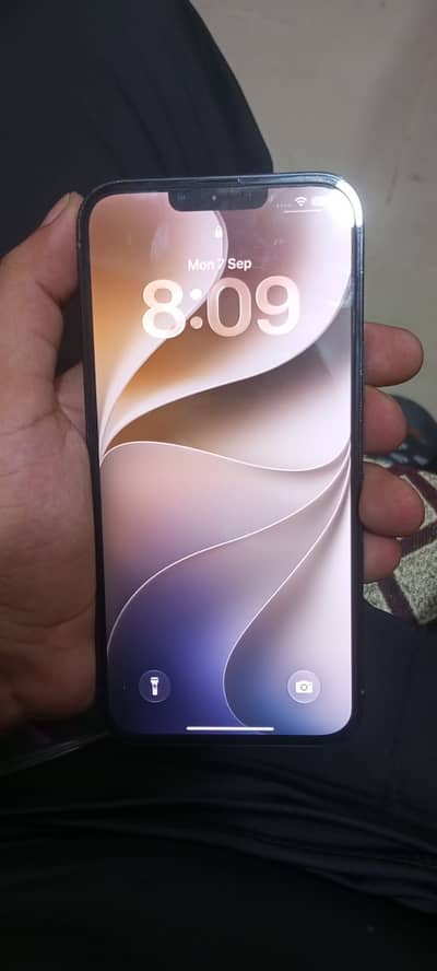 Apple iPhone 13 Pro Max