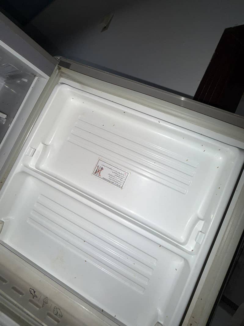 PEL fridge 3