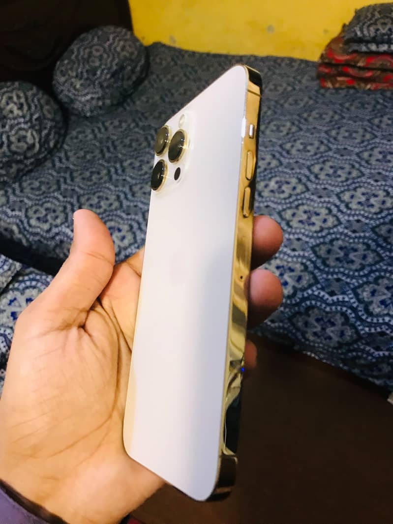 Apple iPhone 13 Pro Max 1