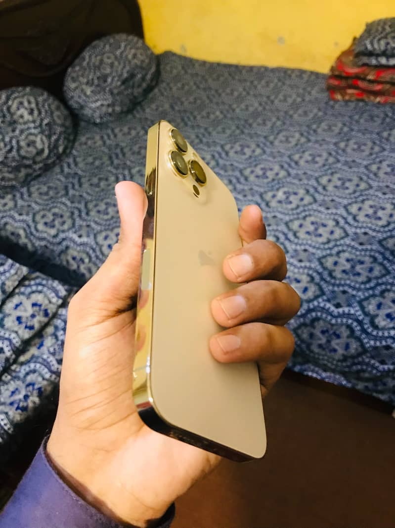 Apple iPhone 13 Pro Max 2