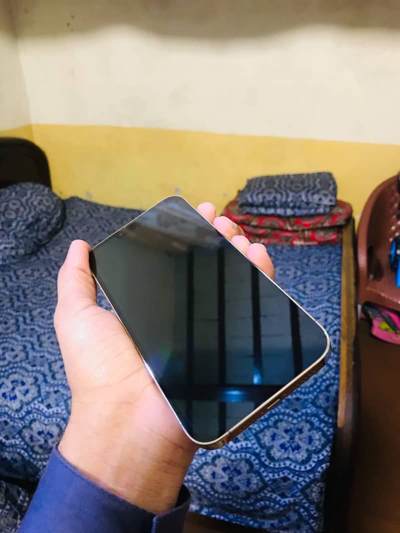 Apple iPhone 13 Pro Max 3