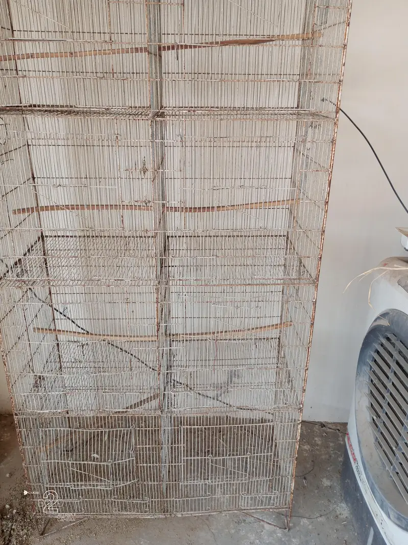 8 portion breeding birds cage with boxes — photo 3