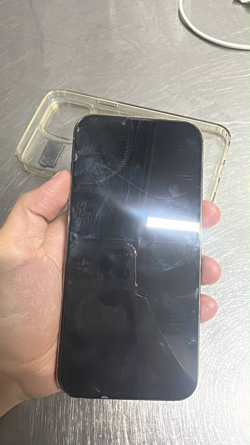 Apple iPhone 13 Pro Max 1
