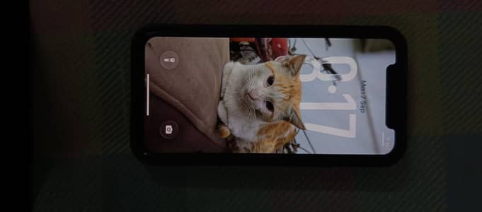 Apple iPhone 11 Pro