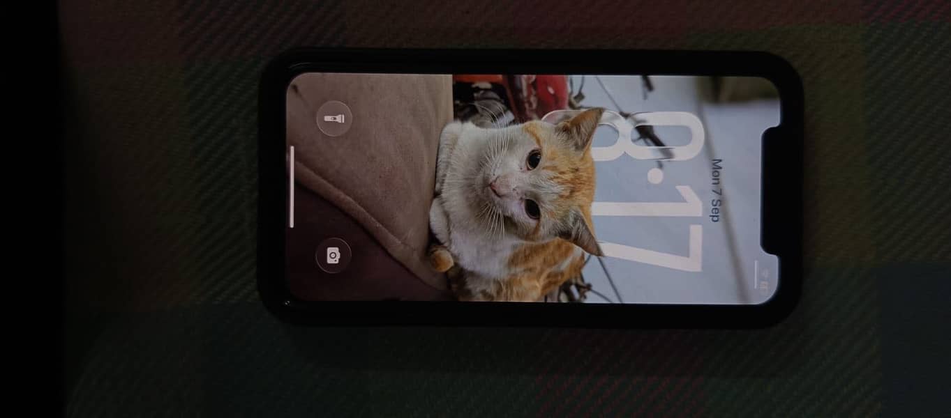 Apple iPhone 11 Pro 0