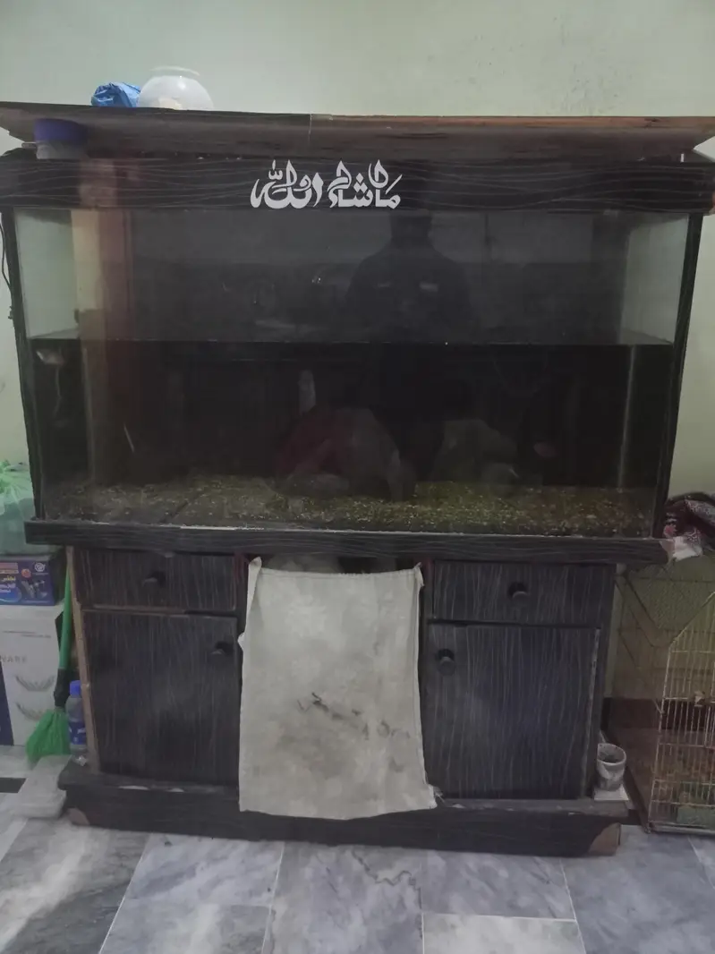 VIP LUXURY Aquarium Fish Tank with Stylish Wooden Cabinet — photo 3