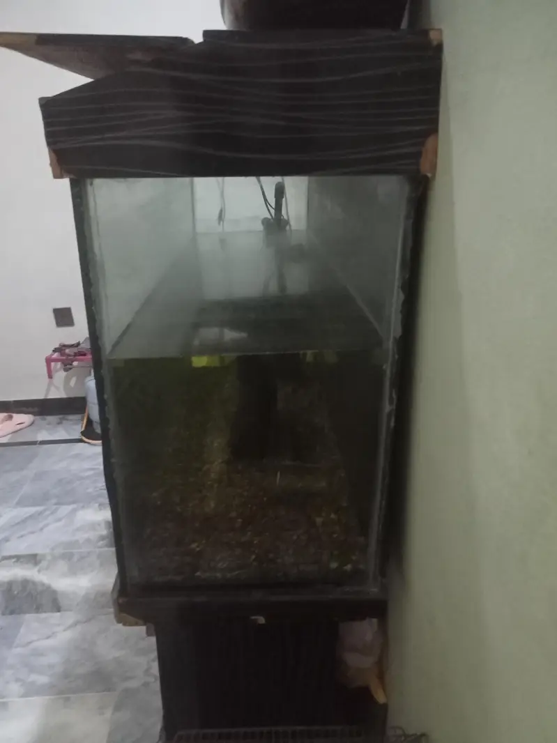 VIP LUXURY Aquarium Fish Tank with Stylish Wooden Cabinet — photo 4