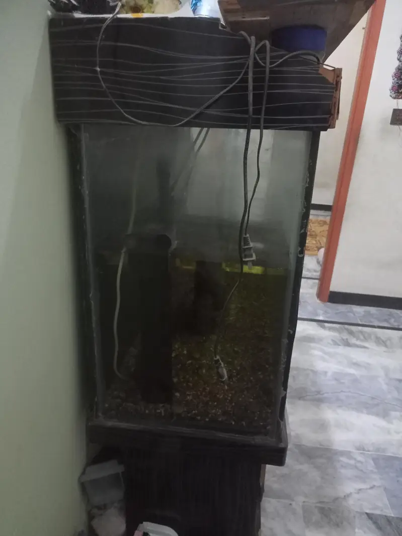 VIP LUXURY Aquarium Fish Tank with Stylish Wooden Cabinet — photo 5