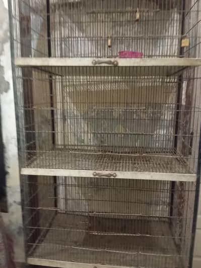 as anew cage 4 steps cages strong cage