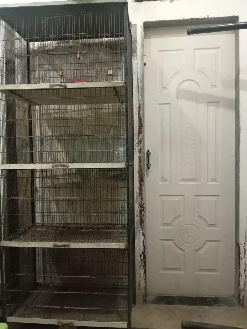 as anew cage 4 steps cages strong cage — photo 4