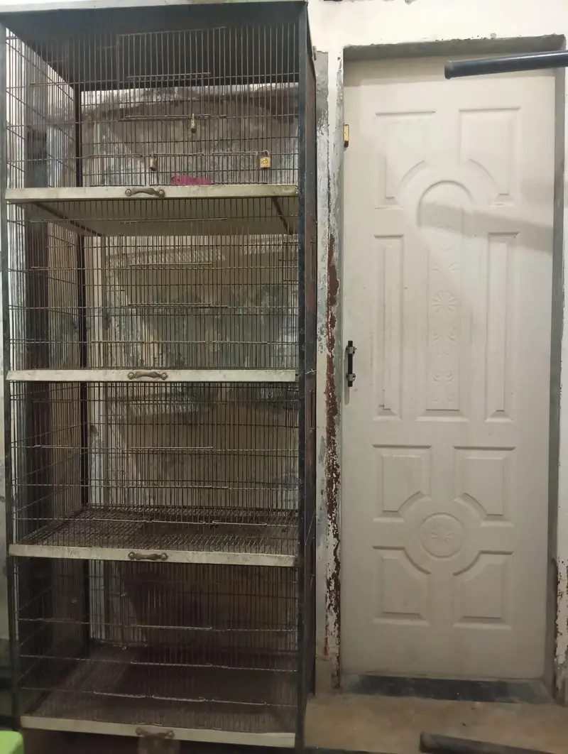 as anew cage 4 steps cages strong cage — photo 5