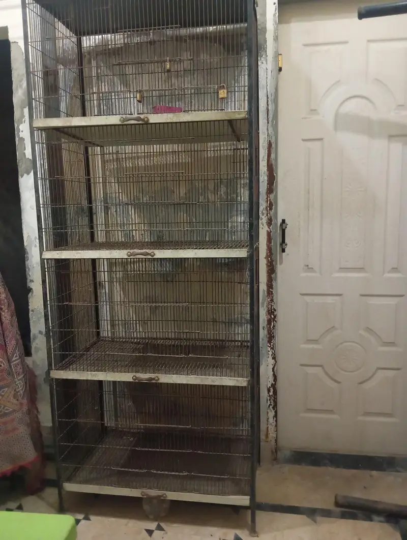 as anew cage 4 steps cages strong cage — photo 6