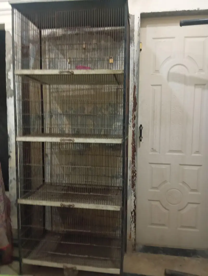 as anew cage 4 steps cages strong cage — photo 7