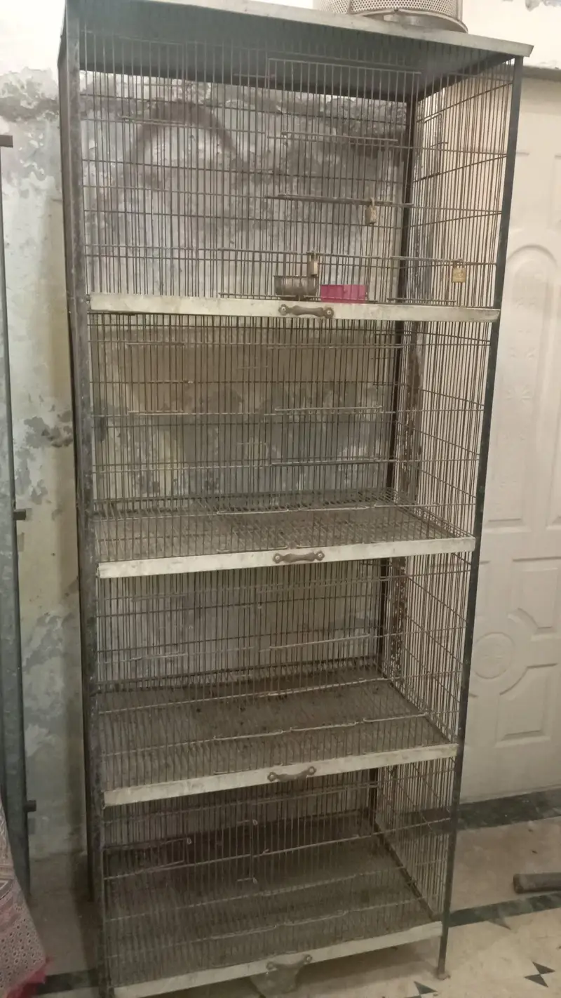 as anew cage 4 steps cages strong cage — photo 9