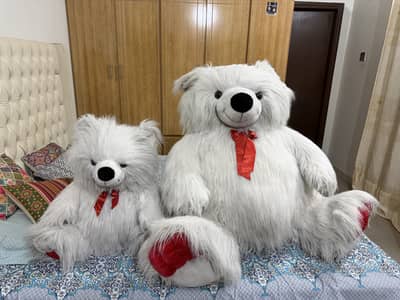 2 white teddy bears