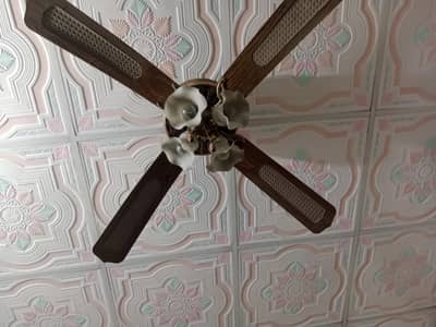 ya mara fan ha ma na is ko sale Karna ha