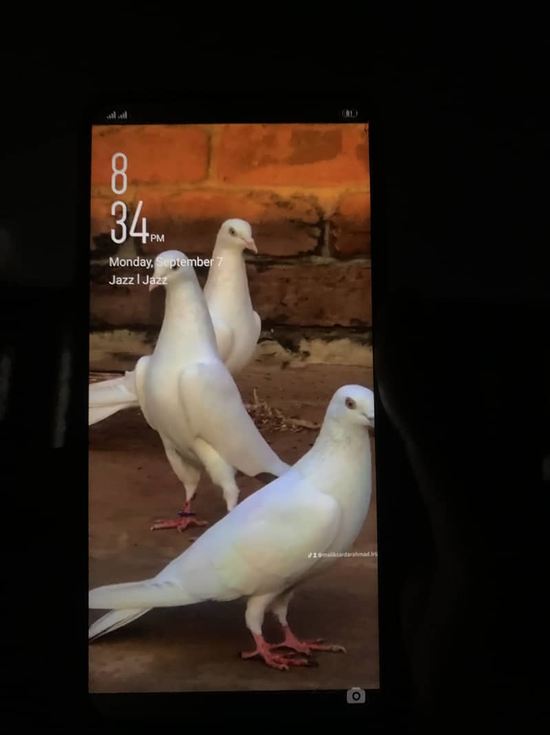 OPPO A5s 3