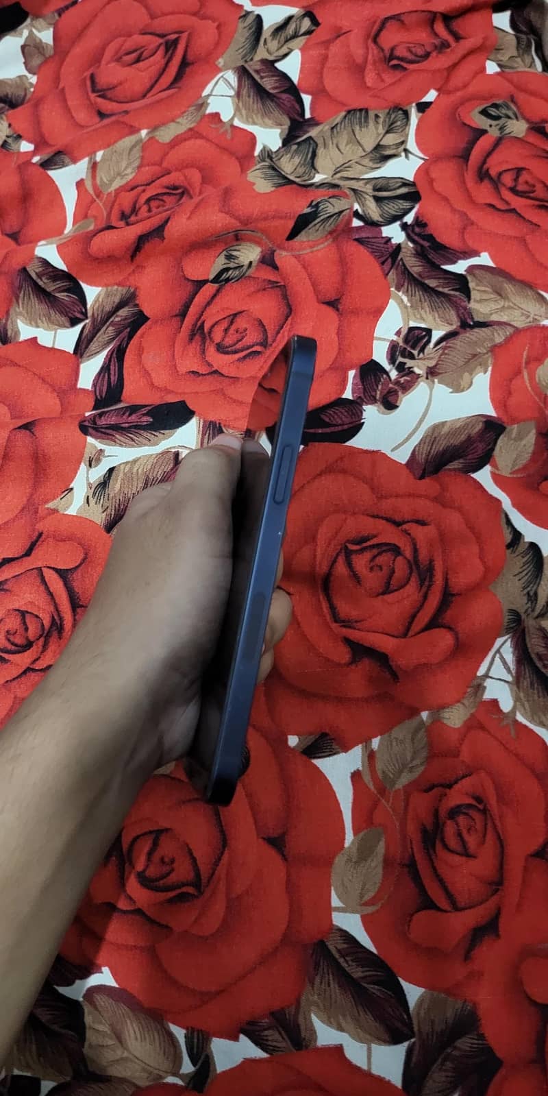 Apple iPhone 12 1
