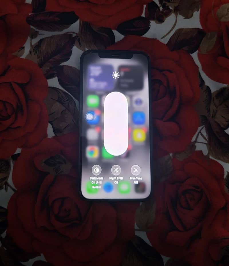 Apple iPhone 12 2