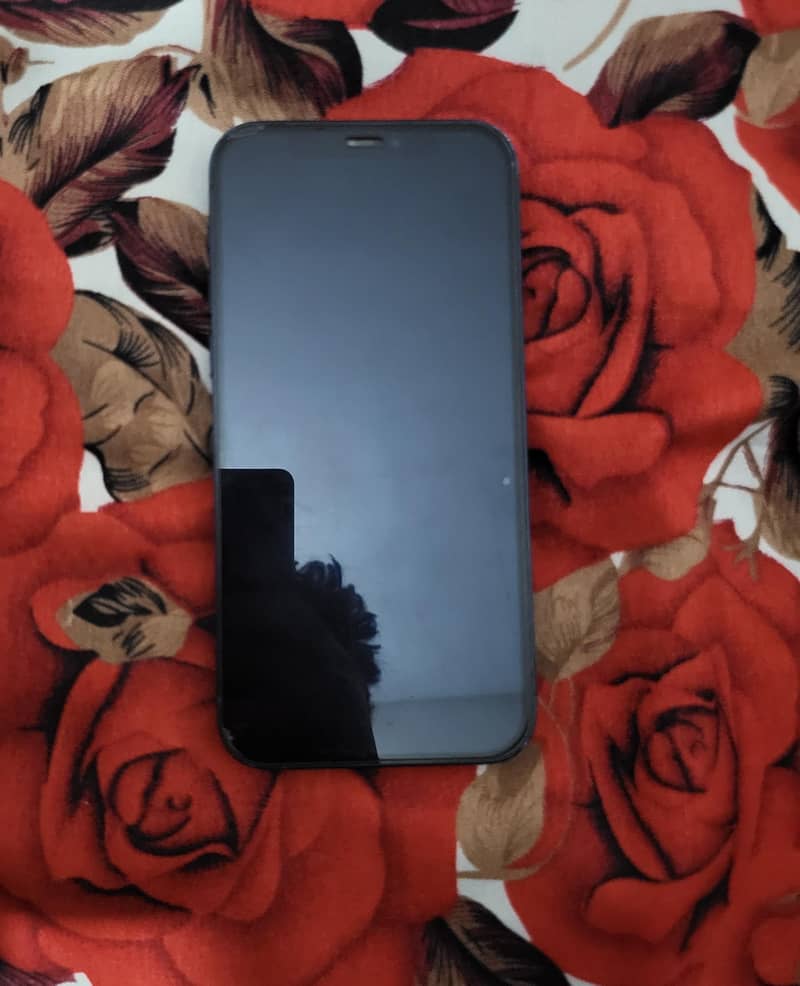 Apple iPhone 12 6