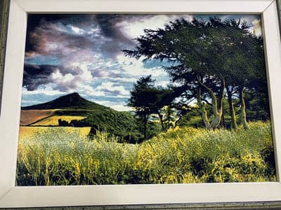 For sale- beautiful decorative wall art
