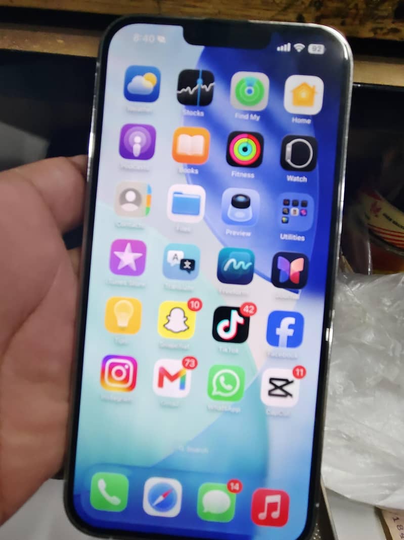 Apple iPhone 13 Pro Max 1