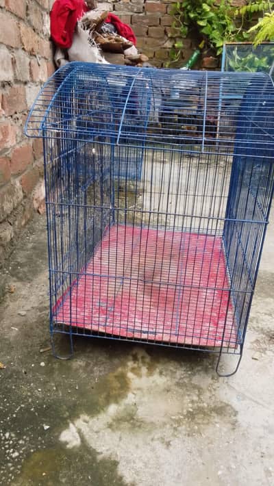 new cage for sale