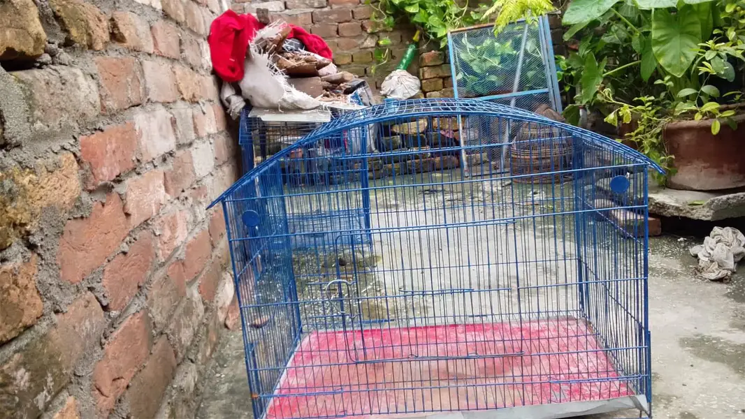 new cage for sale — photo 2