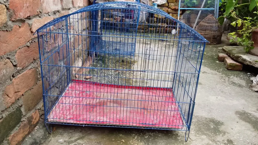 new cage for sale — photo 4