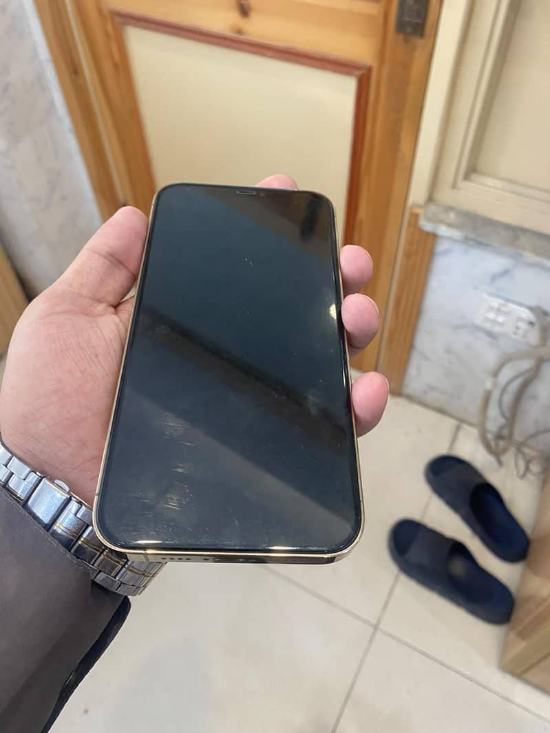 Apple iPhone 12 Pro Max 1