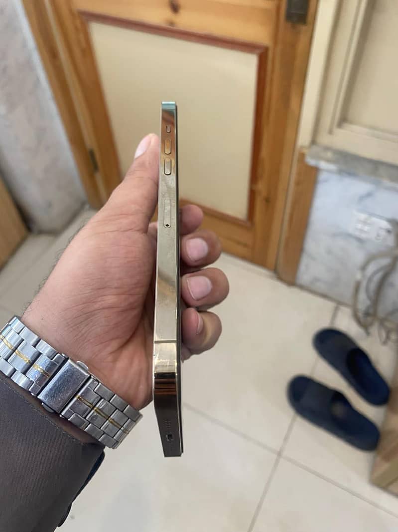 Apple iPhone 12 Pro Max 2