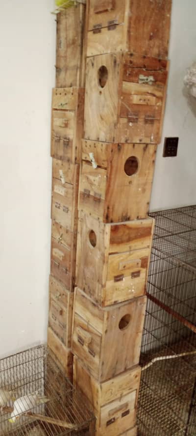 bird cage tower cages fix portion cage