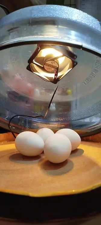Diy Incubator (18-20 egg capacity) — photo 3