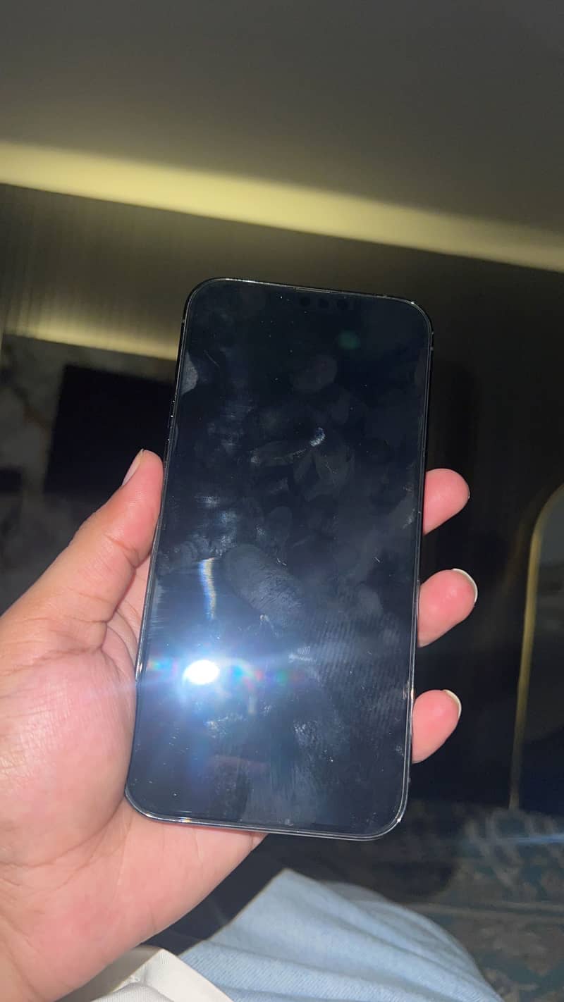Apple iPhone 13 Pro Max 0