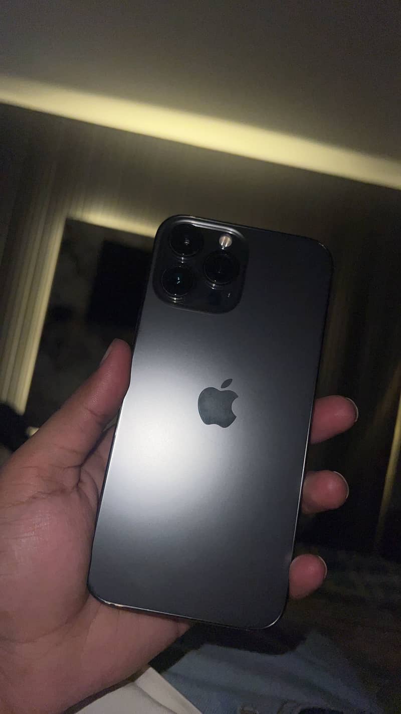 Apple iPhone 13 Pro Max 1