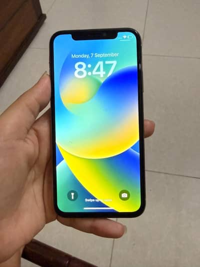 Apple iPhone X