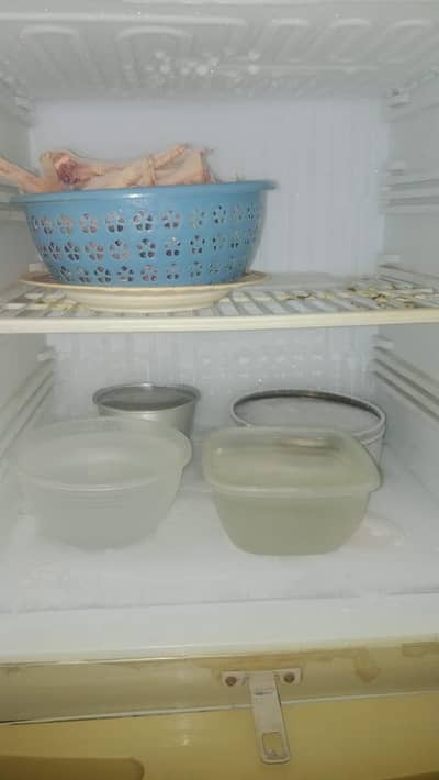 fridge