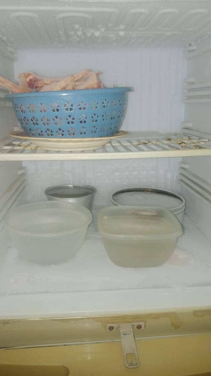 fridge 0