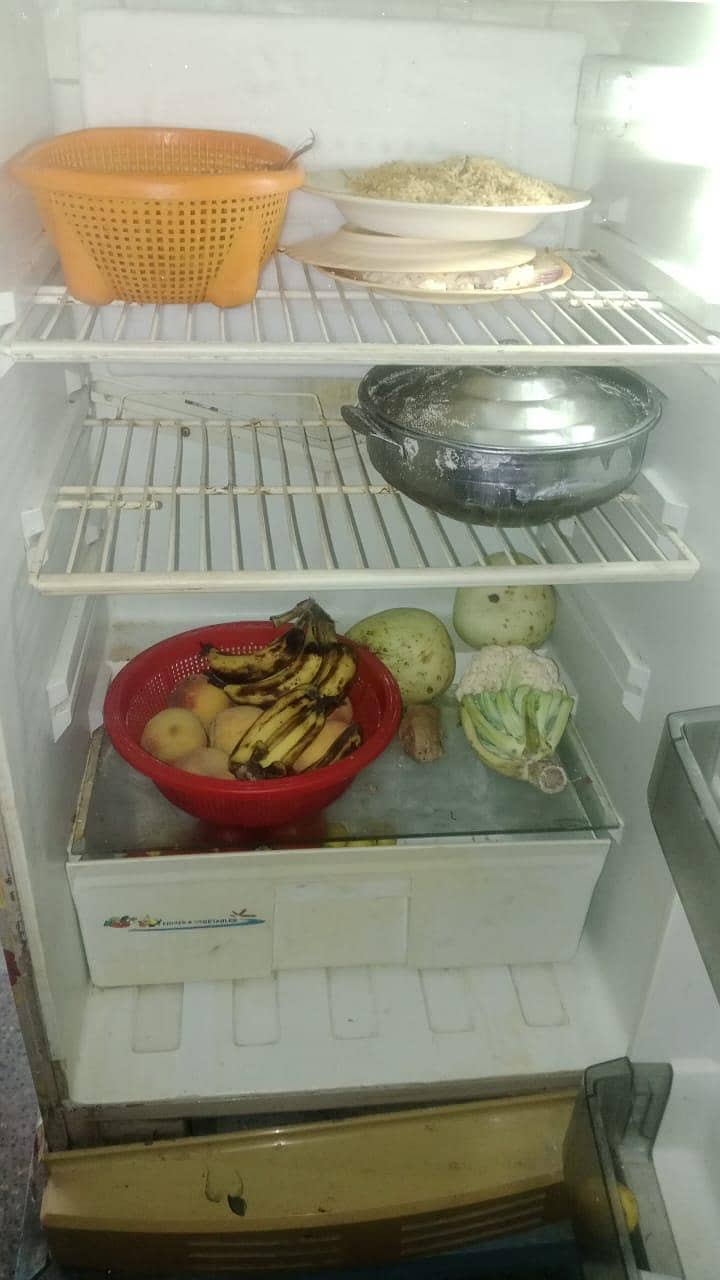 fridge 1